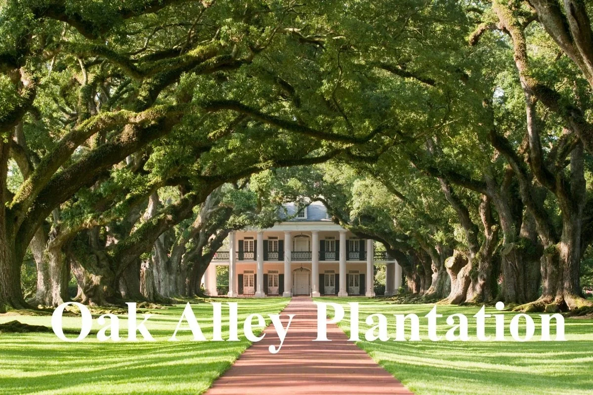 Oak Alley And Whitney Double Plantation Tour