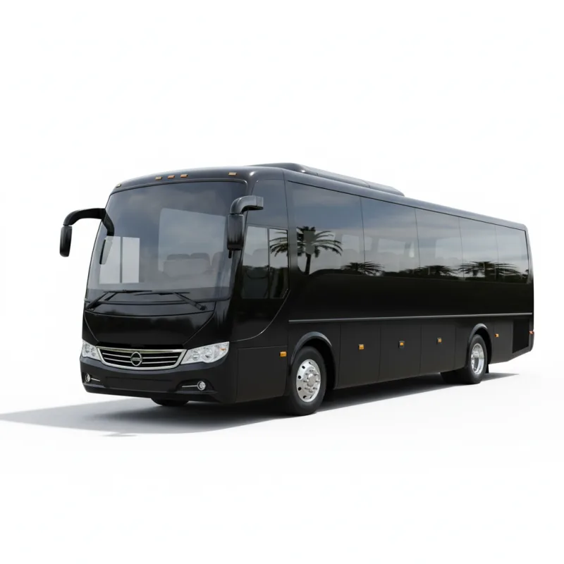 Luxury Black Minibus